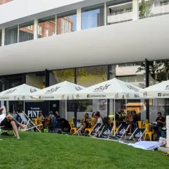 Relaks na trawie pod parasolami Pinta Wrocław. Ludzie siedzą przy stolikach i leżakach, ciesząc się pogodą.