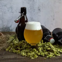 Szklanka piwa pomarańczowego z pianką, otoczona chmielem, słodem i butelkami.