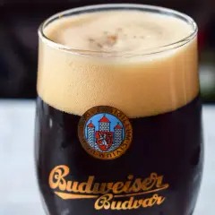 Gęsta piana na ciemnym piwie Budweiser Budvar, klasycznym piwie praskim.