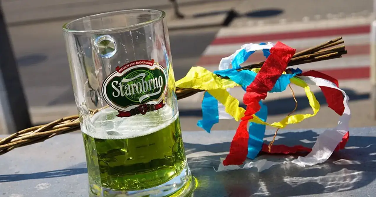 Zielone piwo czeskie Starobrno w szklance obok tradycyjnej, kolorowej rózgi wielkanocnej.