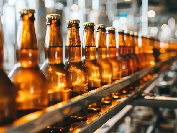 Szklane butelki piwa Tyskie na linii produkcyjnej. Różne rodzaje butelek czekają na napełnienie.