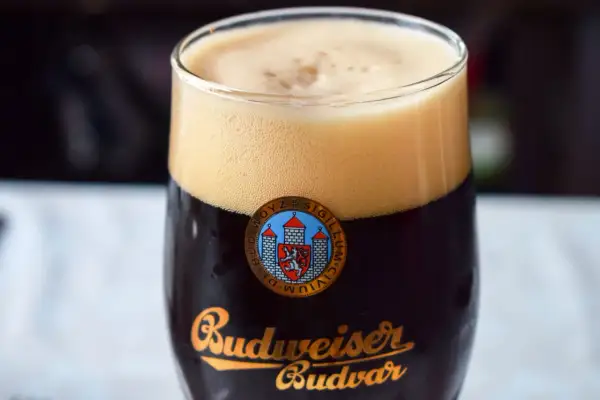 Gęsta piana na ciemnym piwie Budweiser Budvar, klasycznym piwie praskim.