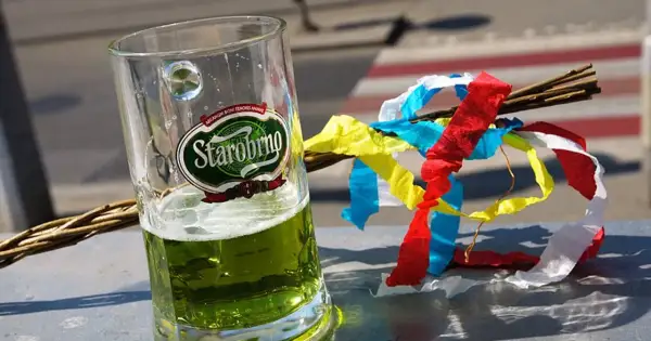Szklanka zielonego piwa czeskiego Starobrno obok wierzbowej rózgi z kolorowymi wstążkami.